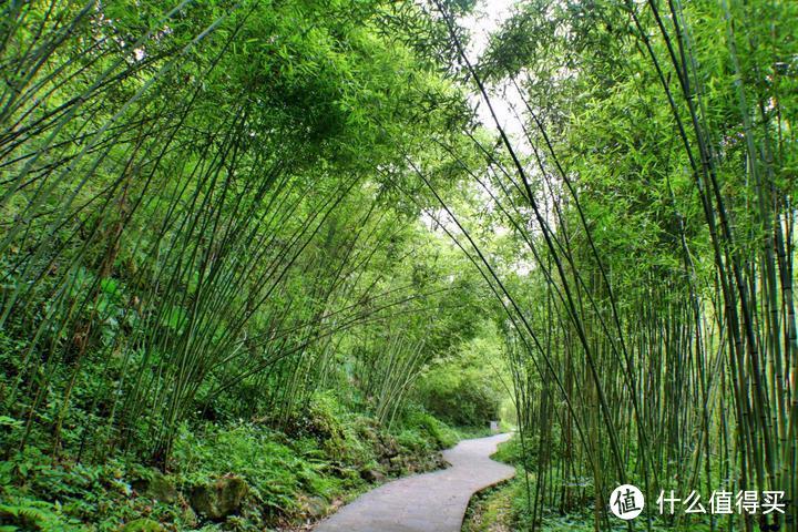 梦幻龙宫，自在田园。世界之最，空气罐头