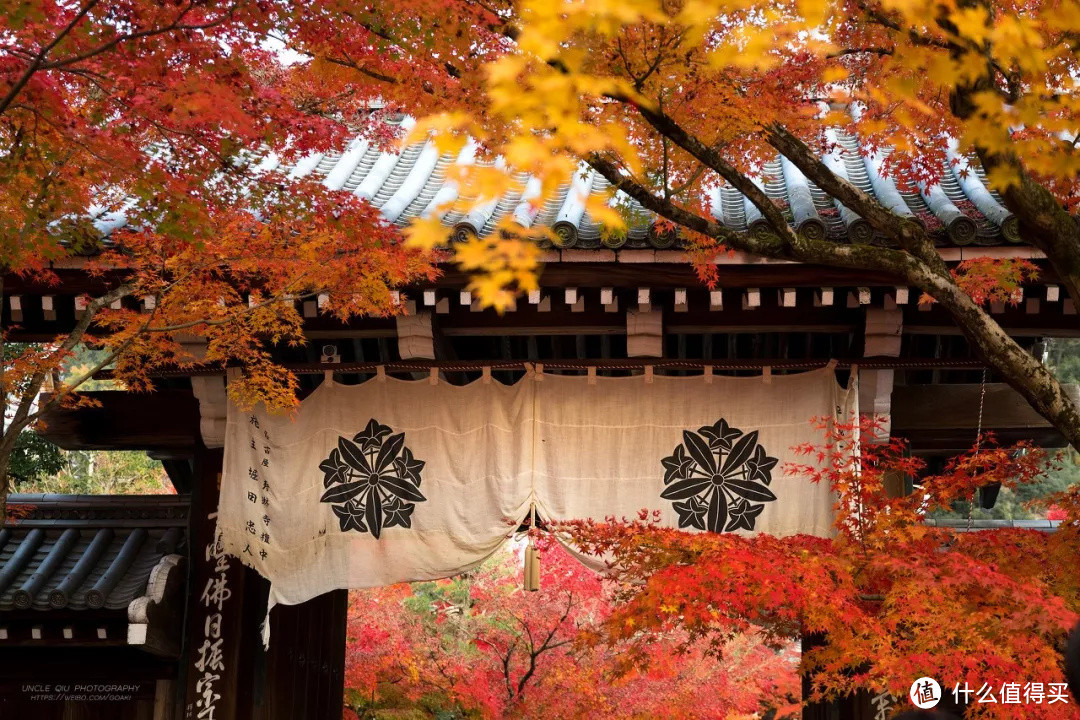 秋天去日本泡汤，有类极上玩法叫“红叶の醉”