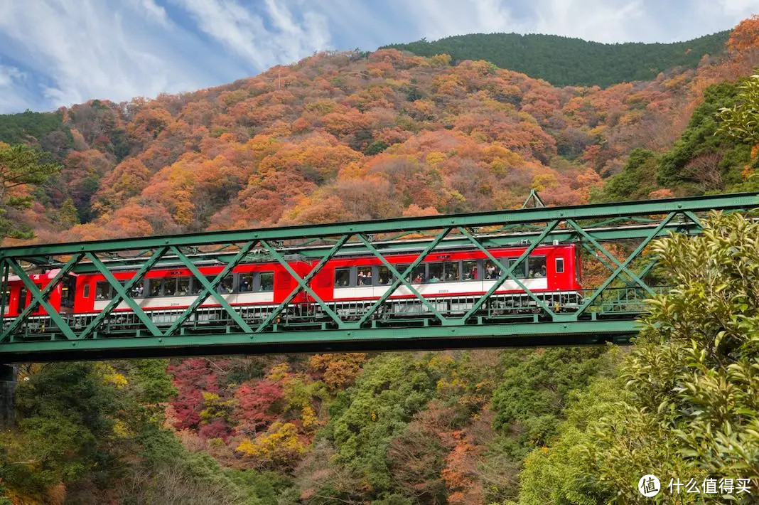 秋天去日本泡汤，有类极上玩法叫“红叶の醉”