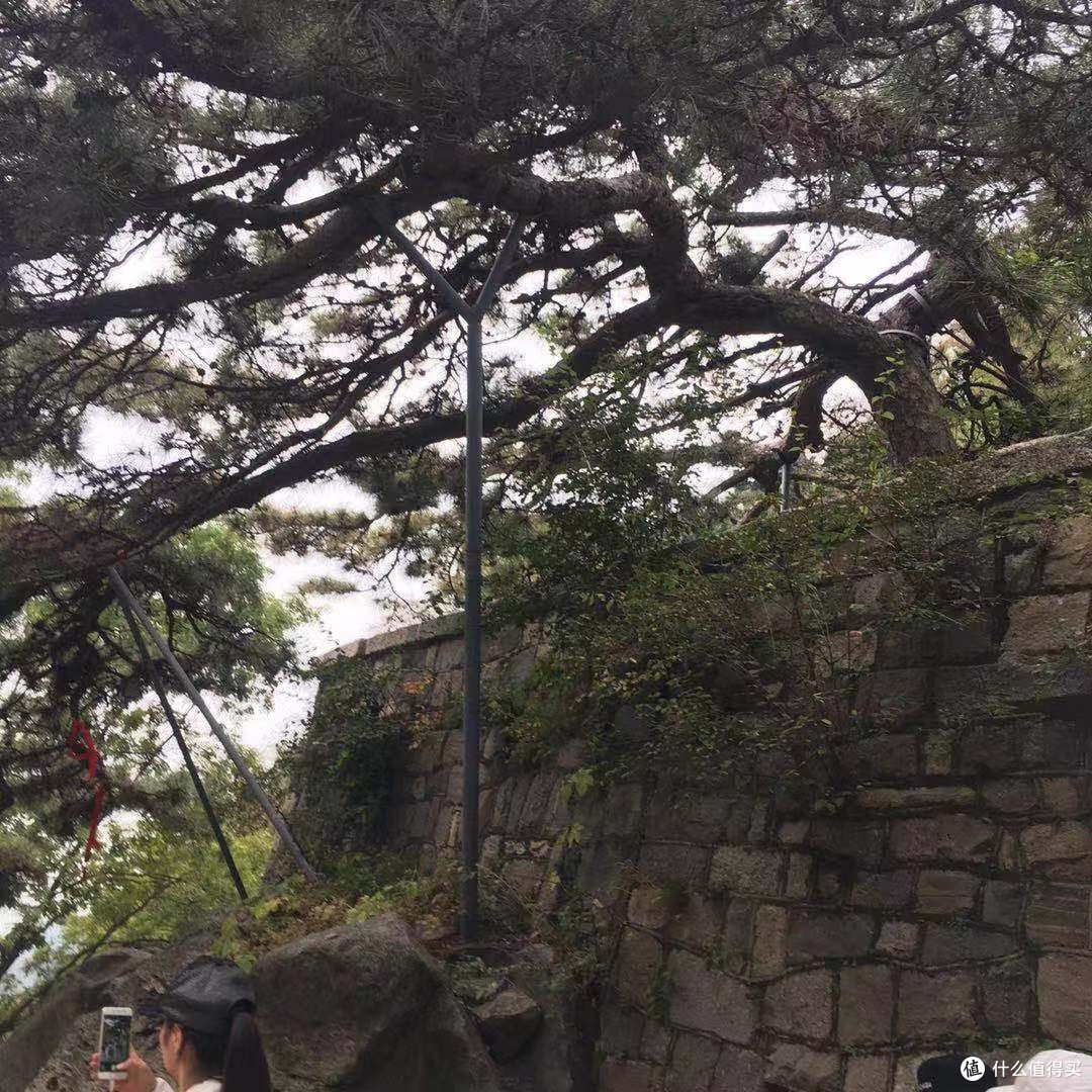 十一爬泰山,看的全是人