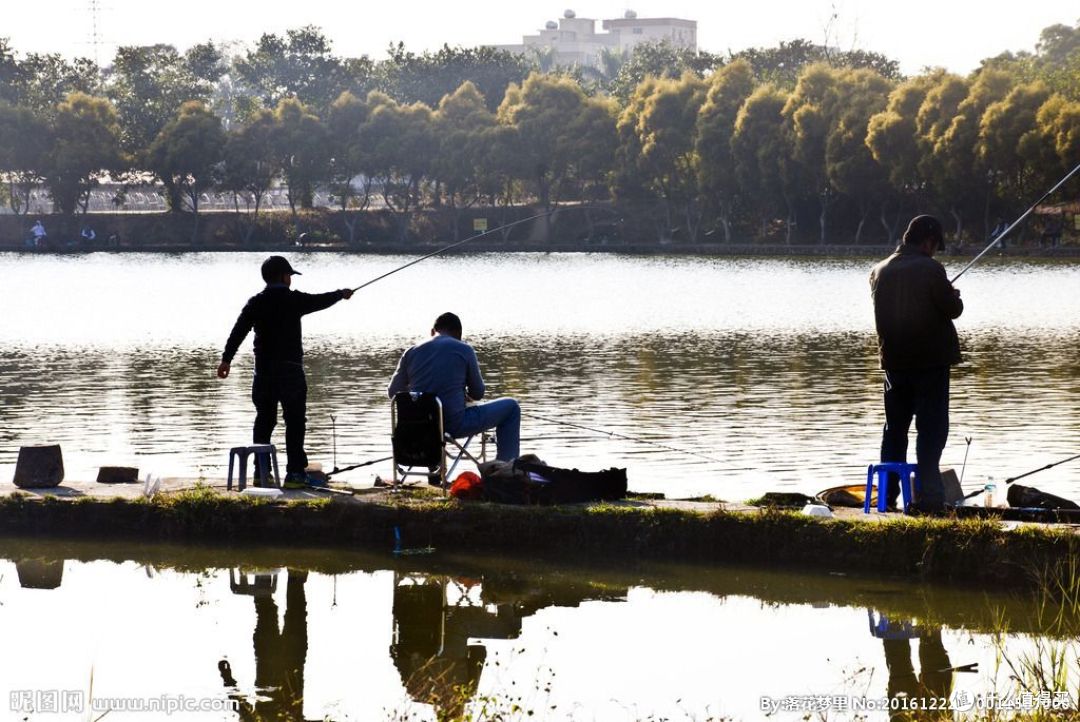 这个“江湖”很别致,聊聊我们钓鱼人的黑坑江湖
