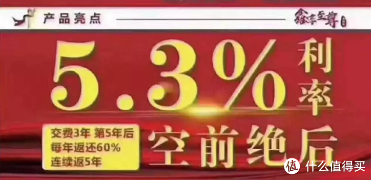 国寿鑫享至尊庆典年金险：5.3%利率？这样宣传我看不惯