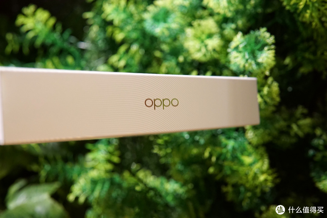 臻享音乐，从这一刻开始——OPPO Enco Q1 无线降噪耳机使用测评