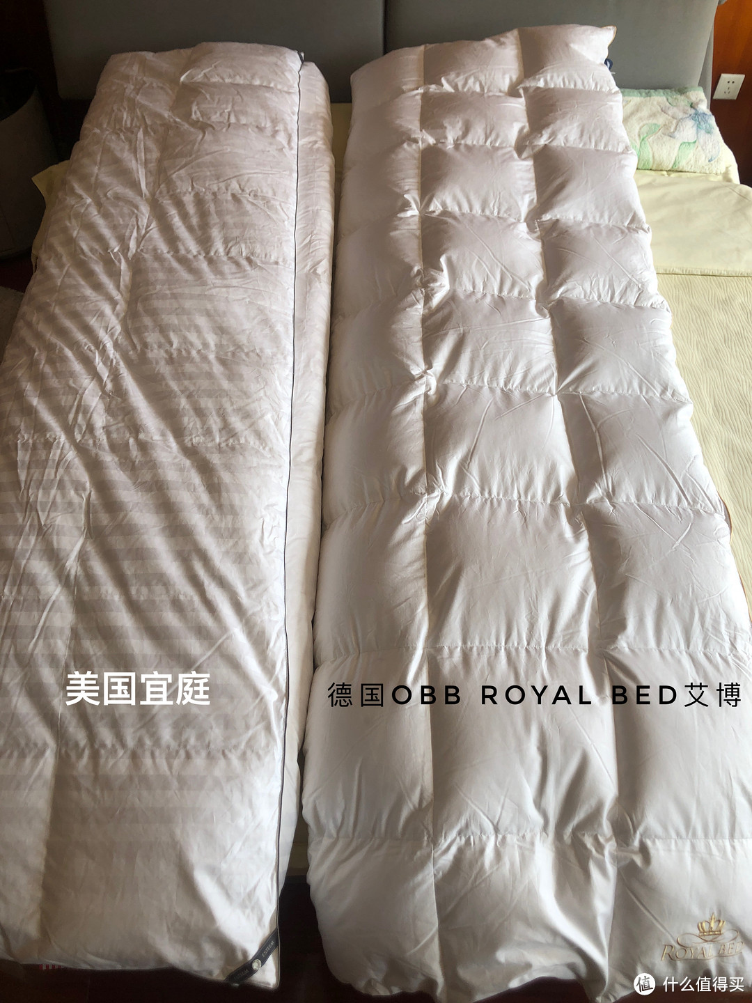 抗污能力超强的鹅绒被对决——美国宜庭和德国OBB royal bed艾博冬被对比测评