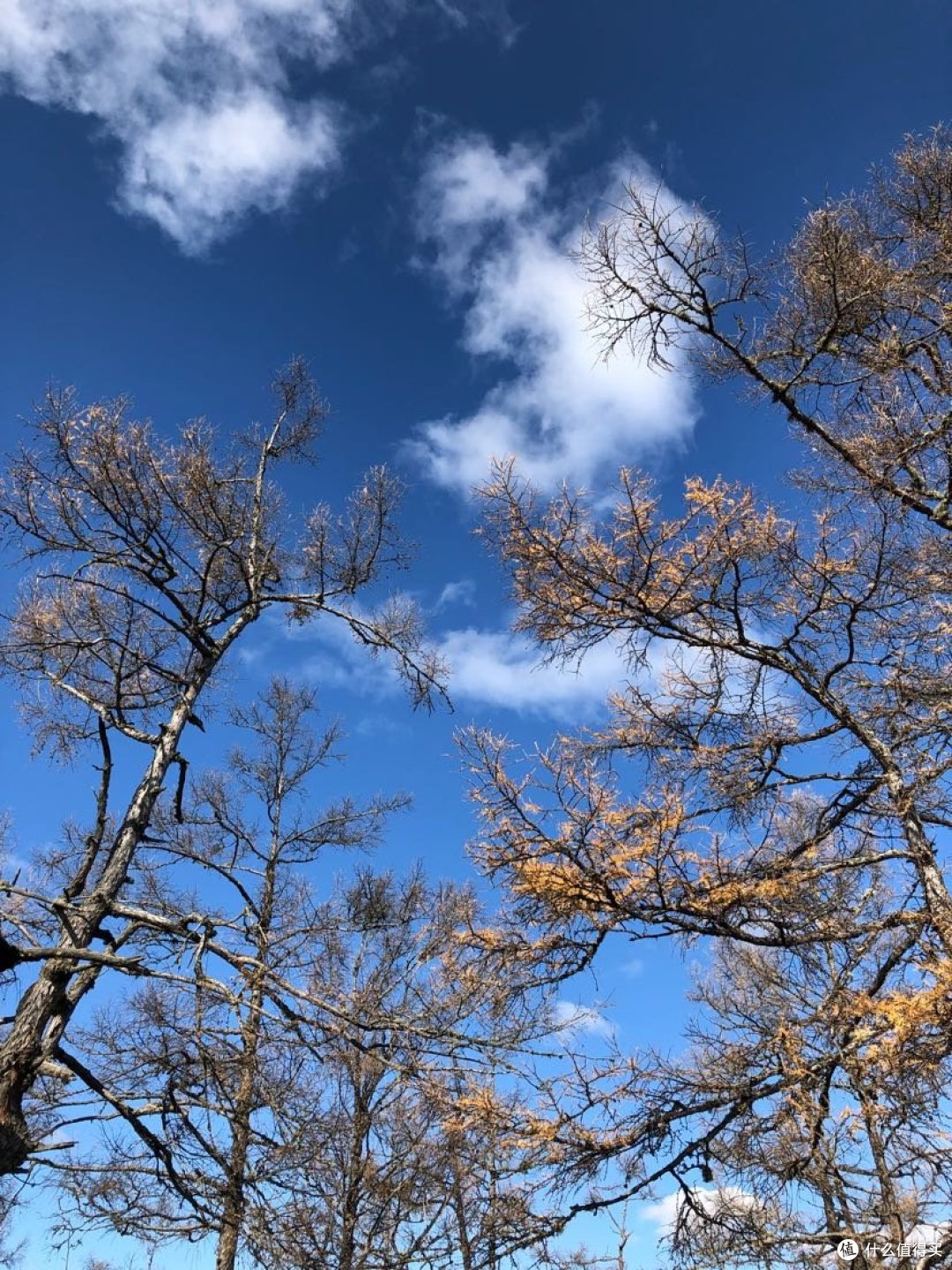 啥浪嘿,边境小城阿尔山遛娃之旅