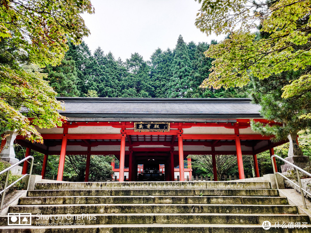 高野山 风水最好之地遇见至善之人