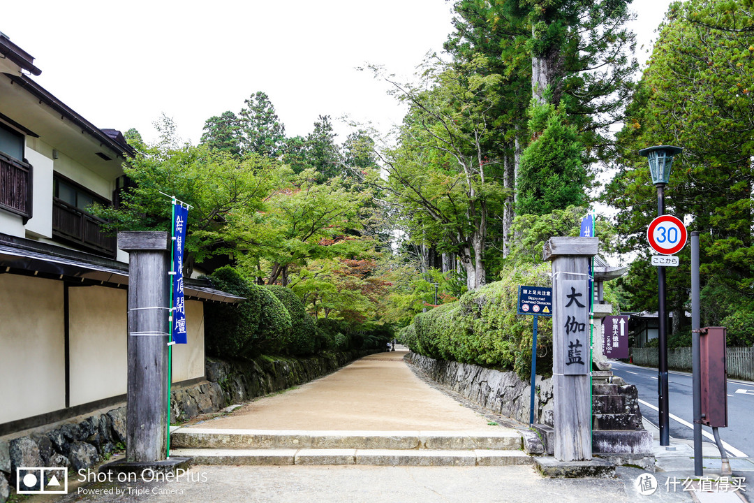 高野山 风水最好之地遇见至善之人