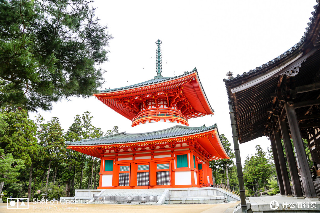 高野山 风水最好之地遇见至善之人