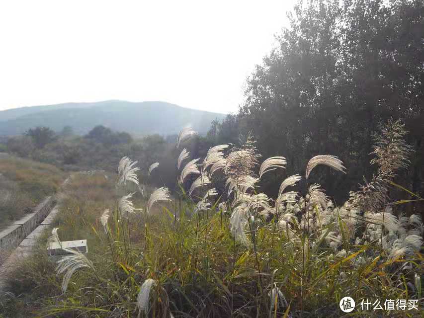 在此山里，传说三山夹一山，不出皇帝出神仙