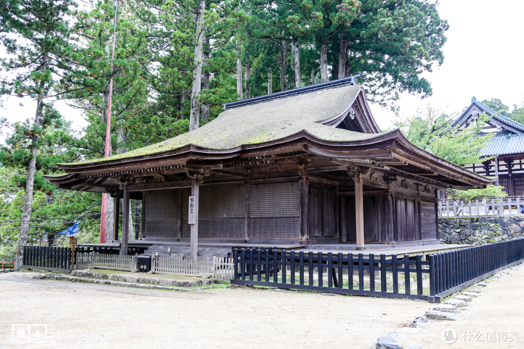 高野山 风水最好之地遇见至善之人