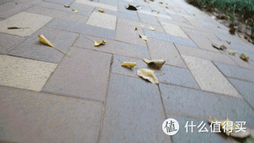 飞宇的新款稳定器性价比居然这么高?