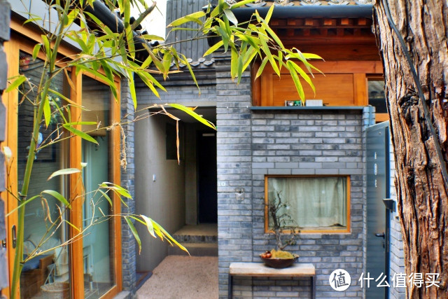 呆住东方美人,感受老北京胡同四合院的温度