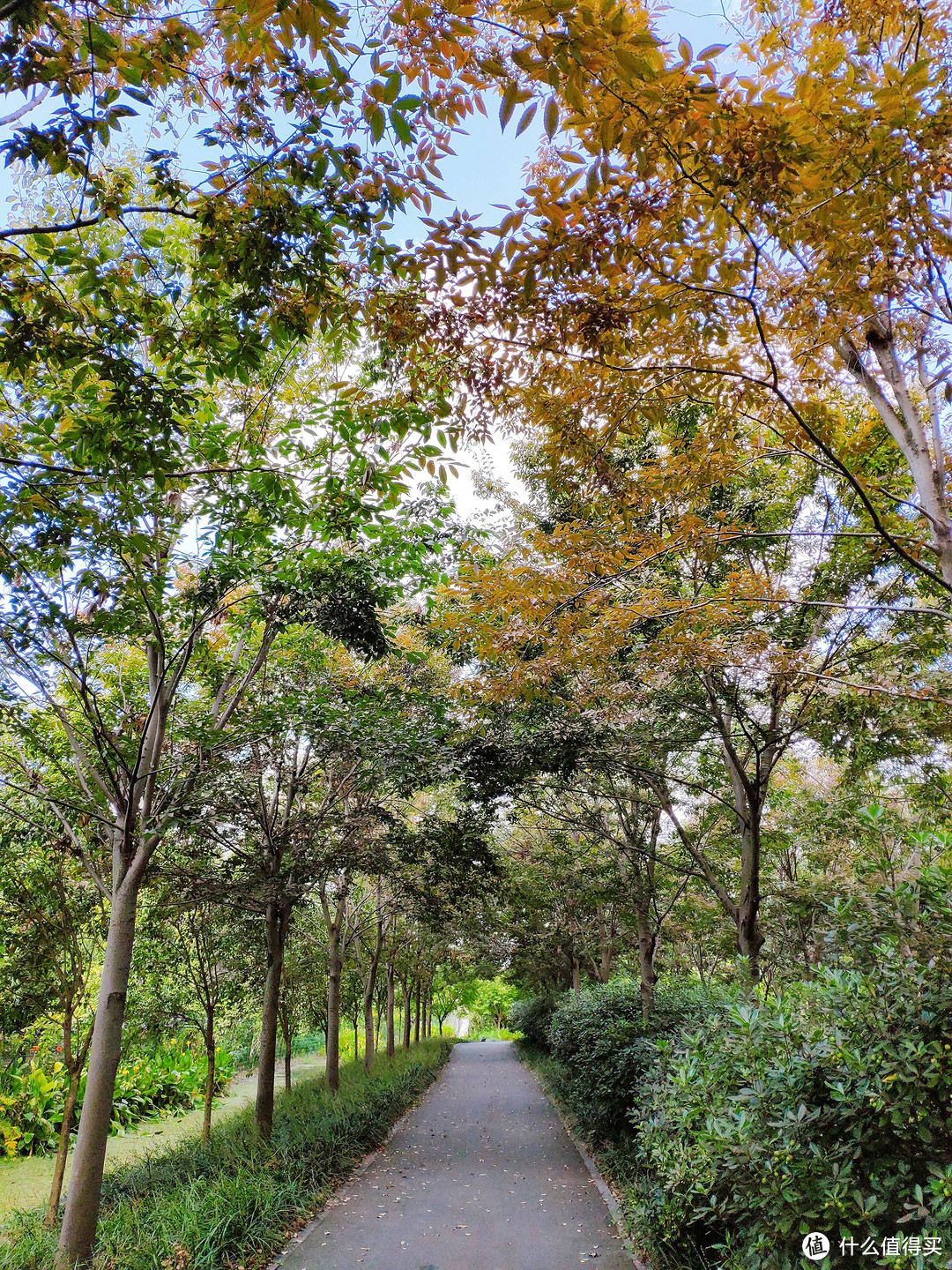 上海小众旅游区，金山之花开海上