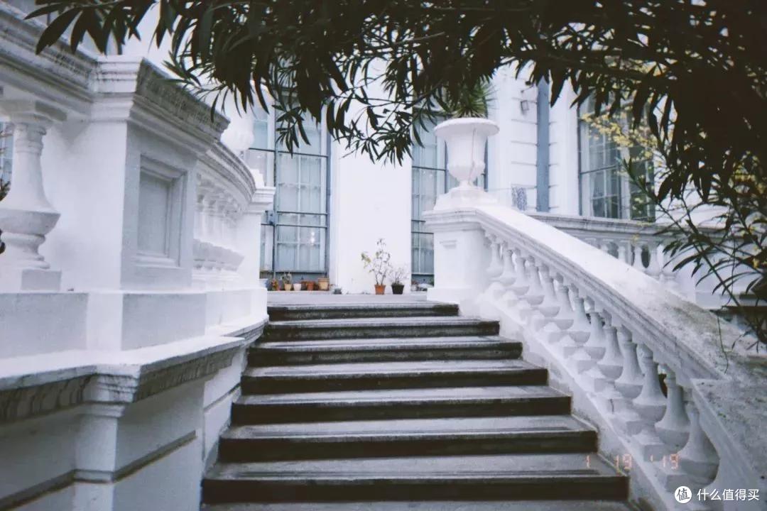 跑了20个地方,上海这3个最美的网红打卡地推荐给你
