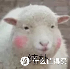 空净不仅能除甲醛,还能测甲醛?检测结果可信吗?