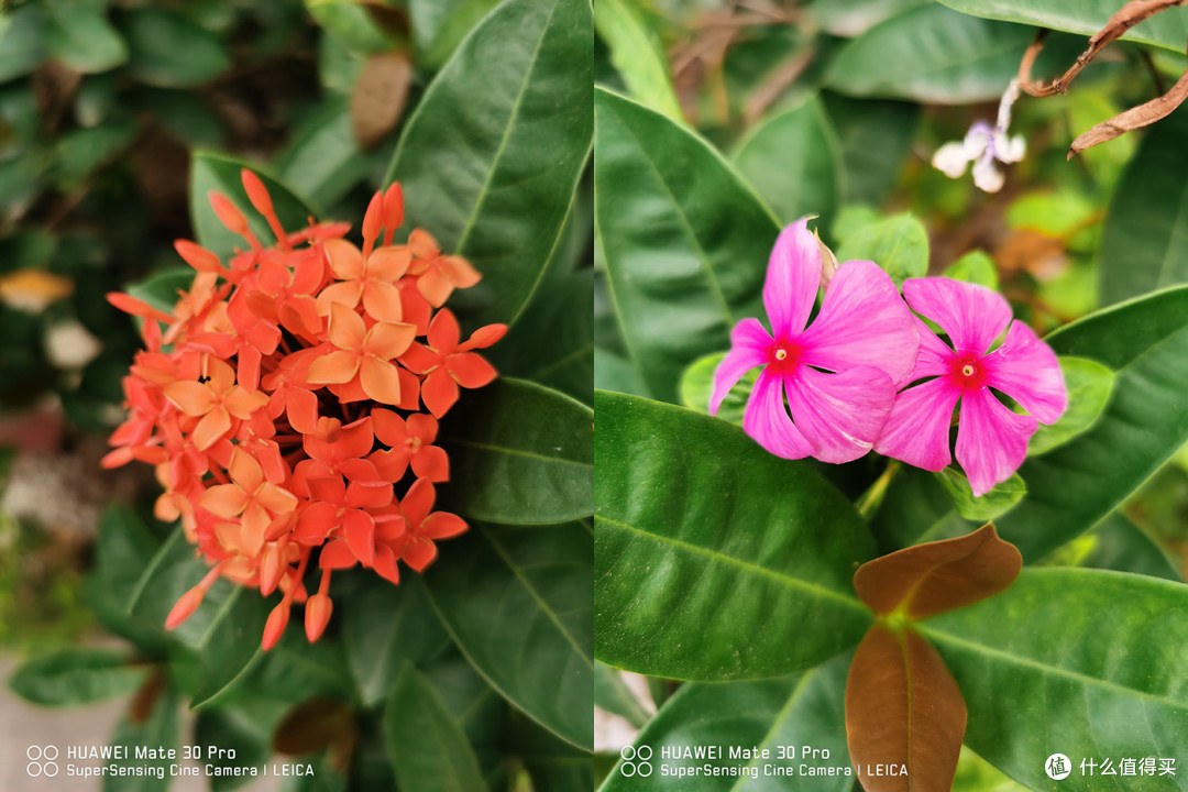 评测之外 | 聊一聊 HUAWEI Mate 30 Pro 的日常体验
