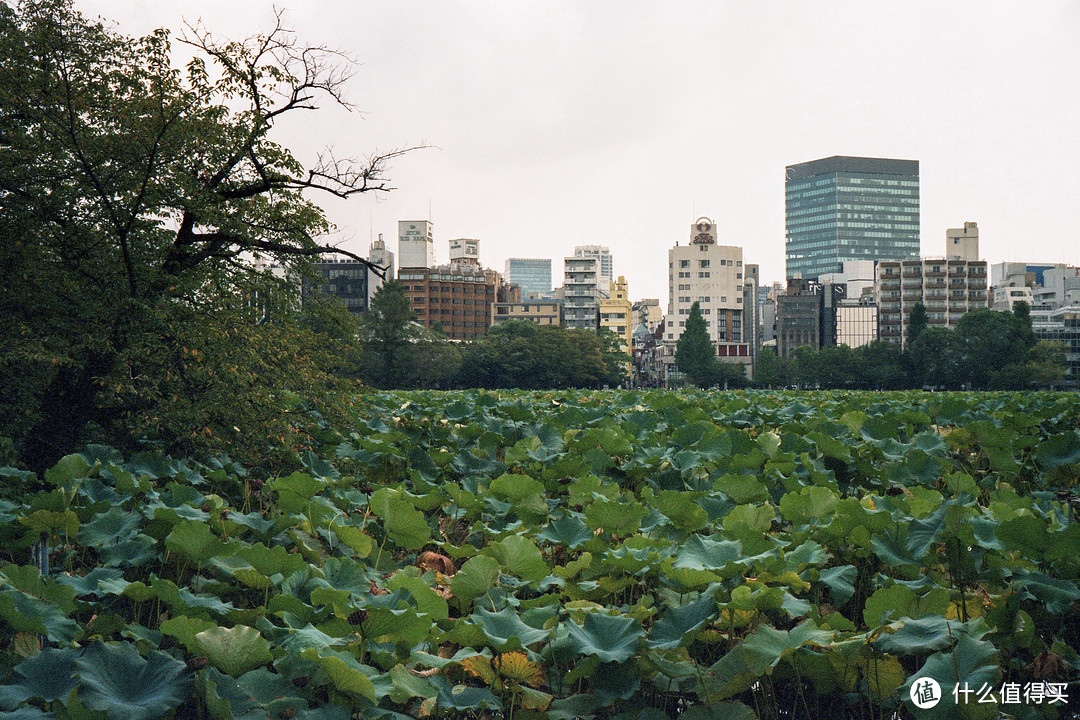 LEICA CL+KODAK5207