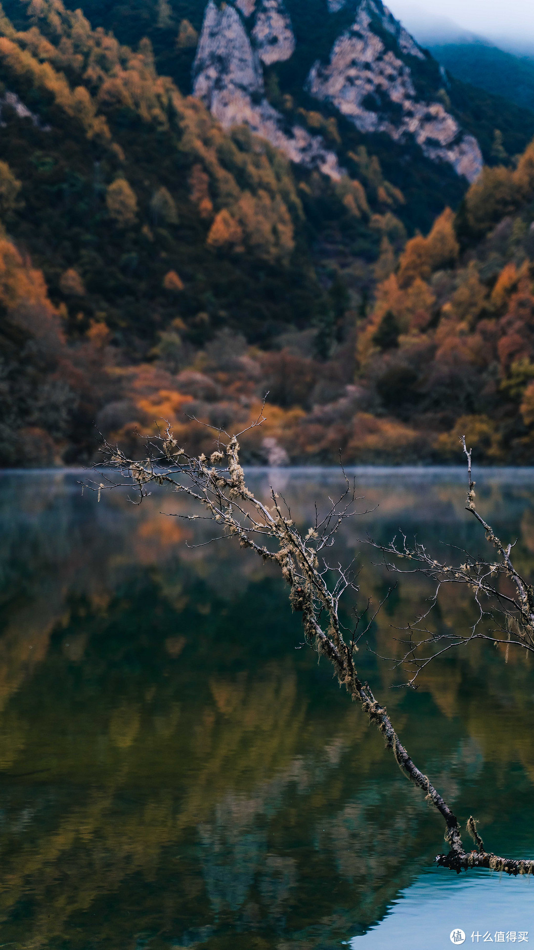 赏雪山秋日胜景—昌坝海露营之旅～