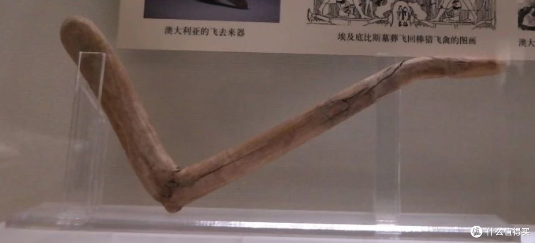 恐怖的楼兰女尸生前竟是如此漂亮!新疆博物馆都有啥?