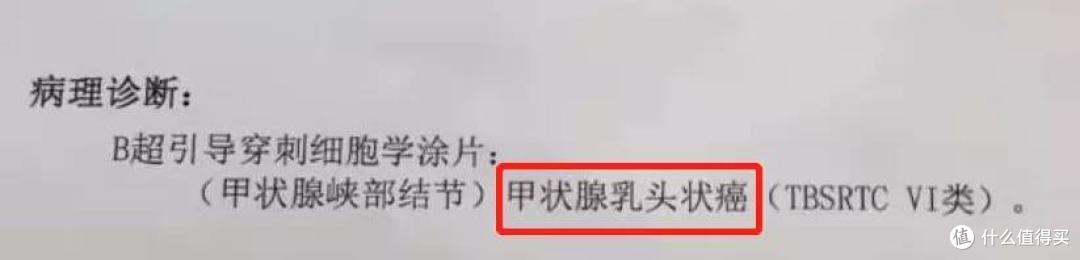 我的报告单
