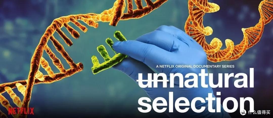 Netflix《物竞人择》:当科技触碰到人类伦理的底线...