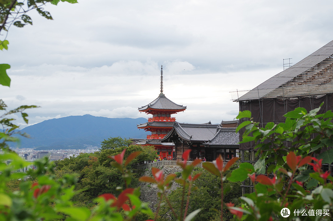 一个伪战国史爱好者的京都、奈良、大阪看寺之行加干货分享（二）