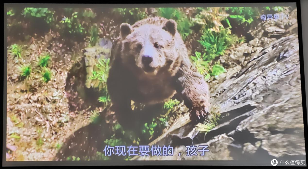 智慧家庭影院的越级，坚果J9 投影仪深度体验