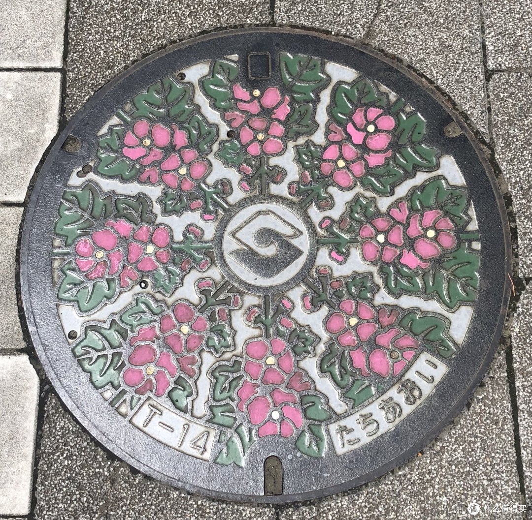 霓虹国初见