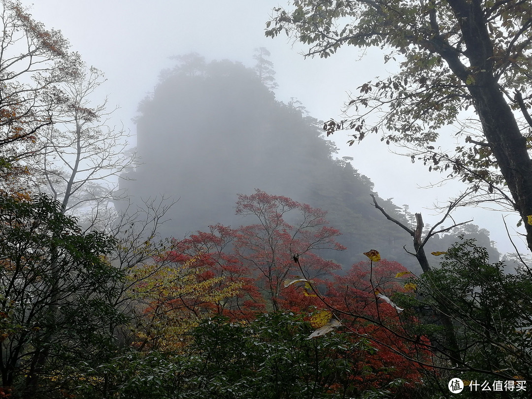 3年第20个全马，终于“喜提”被关门--黄山山地马拉松被关门记