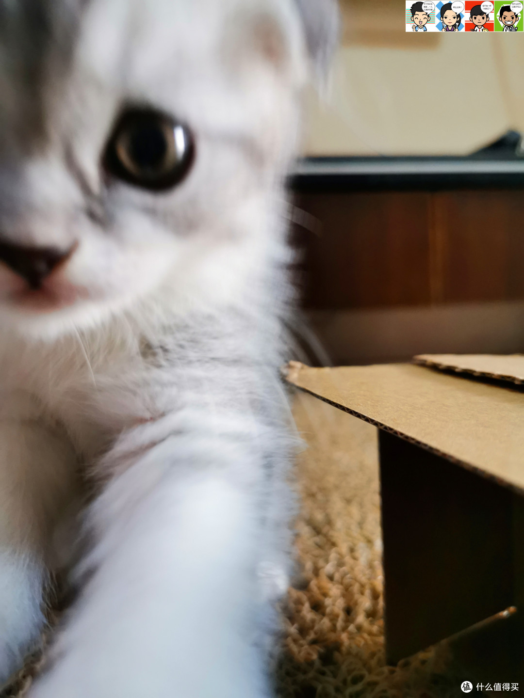 小选择,适生活——小奶猫亲测小适SHOWSEE A1-W 负离子速干电吹风