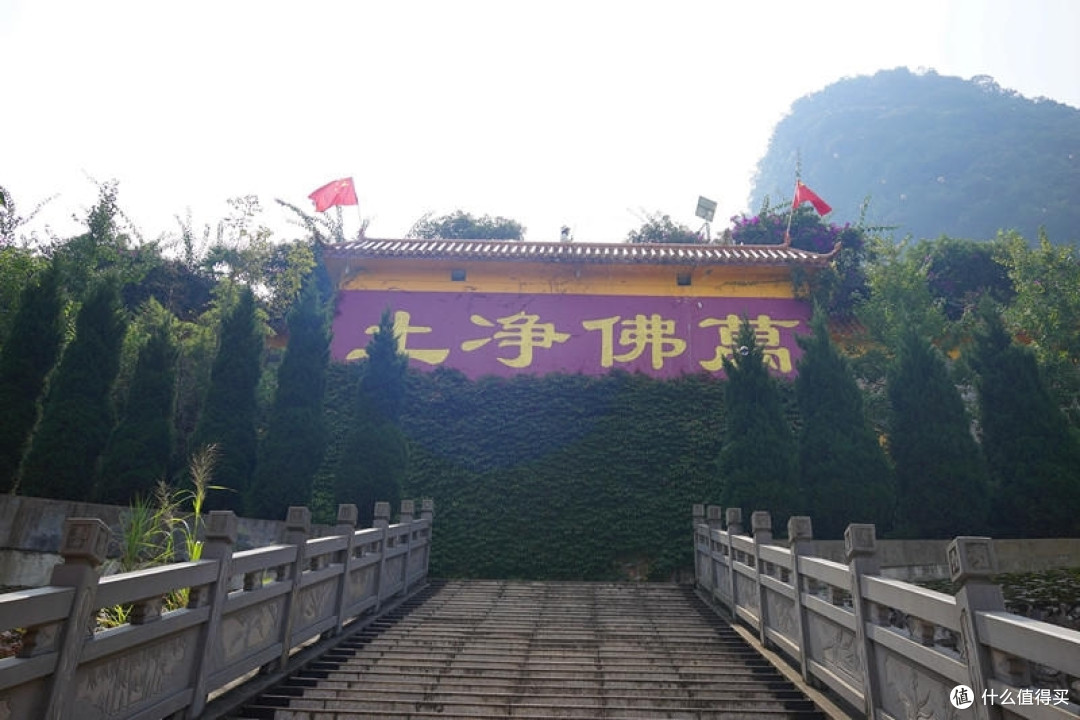 这是一个不远千里来相会的故事
