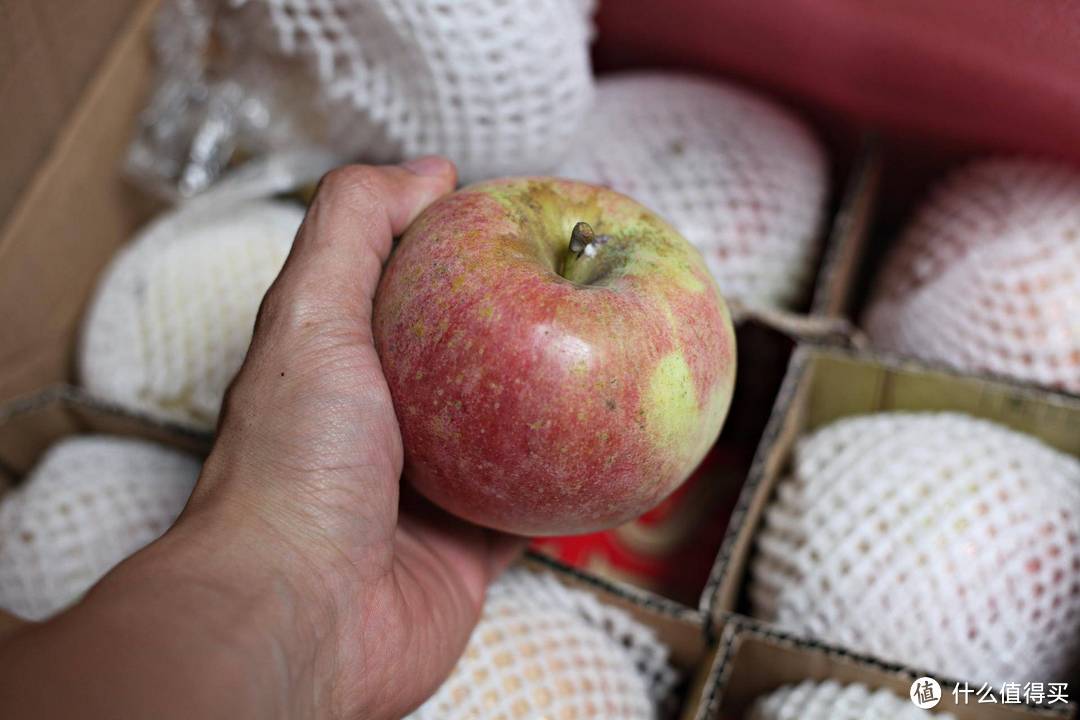 礼轻情义重，分享朋友所赠自家产大红苹果