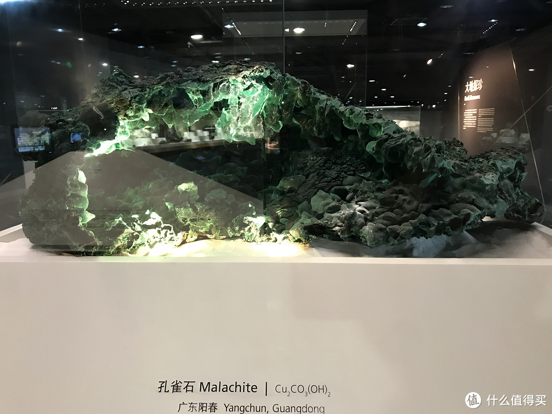 带着小主去旅行——上海自然博物馆小记