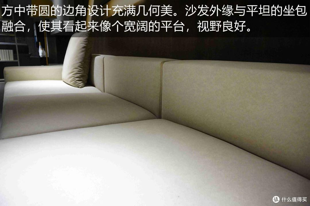 卡昂沙发测评:自由组合“积木”式沙发(型号:2C-1113C)
