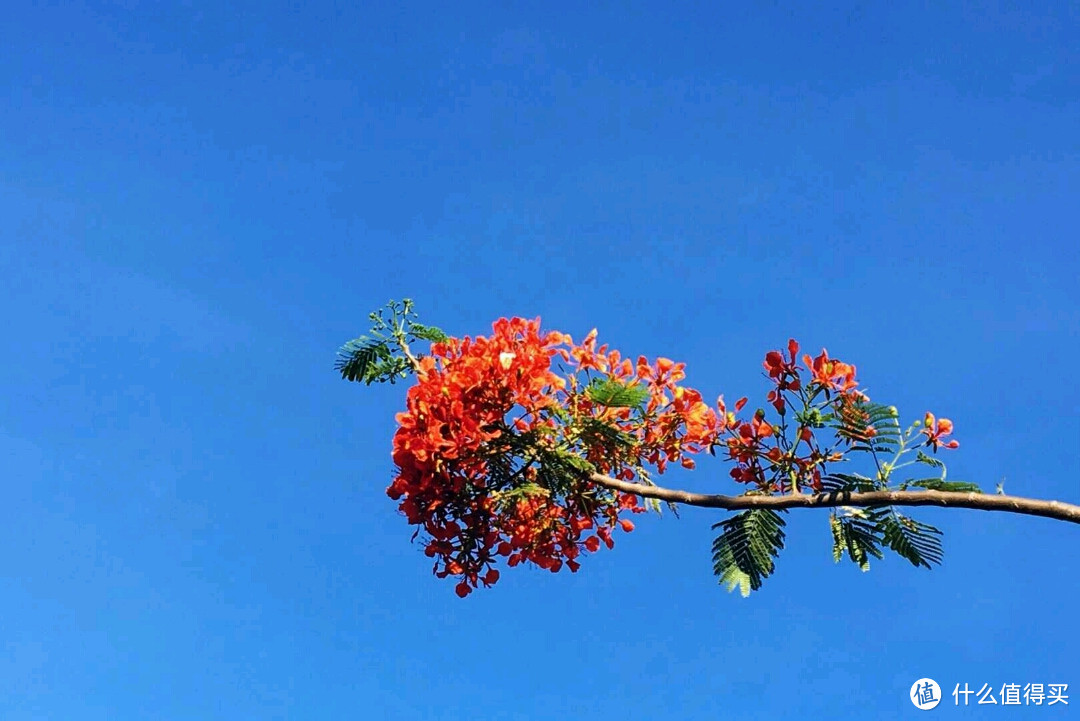 景美，人更美！——岘港五天四晚游记(下)