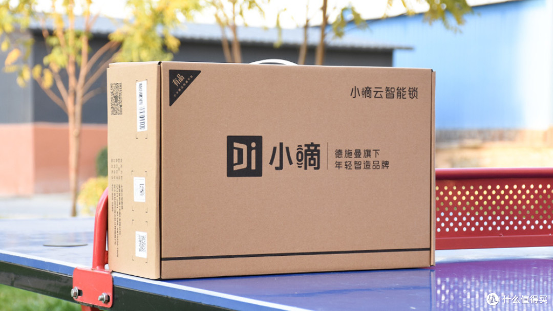 回家开锁新体验 小滴R5人脸识别智能锁