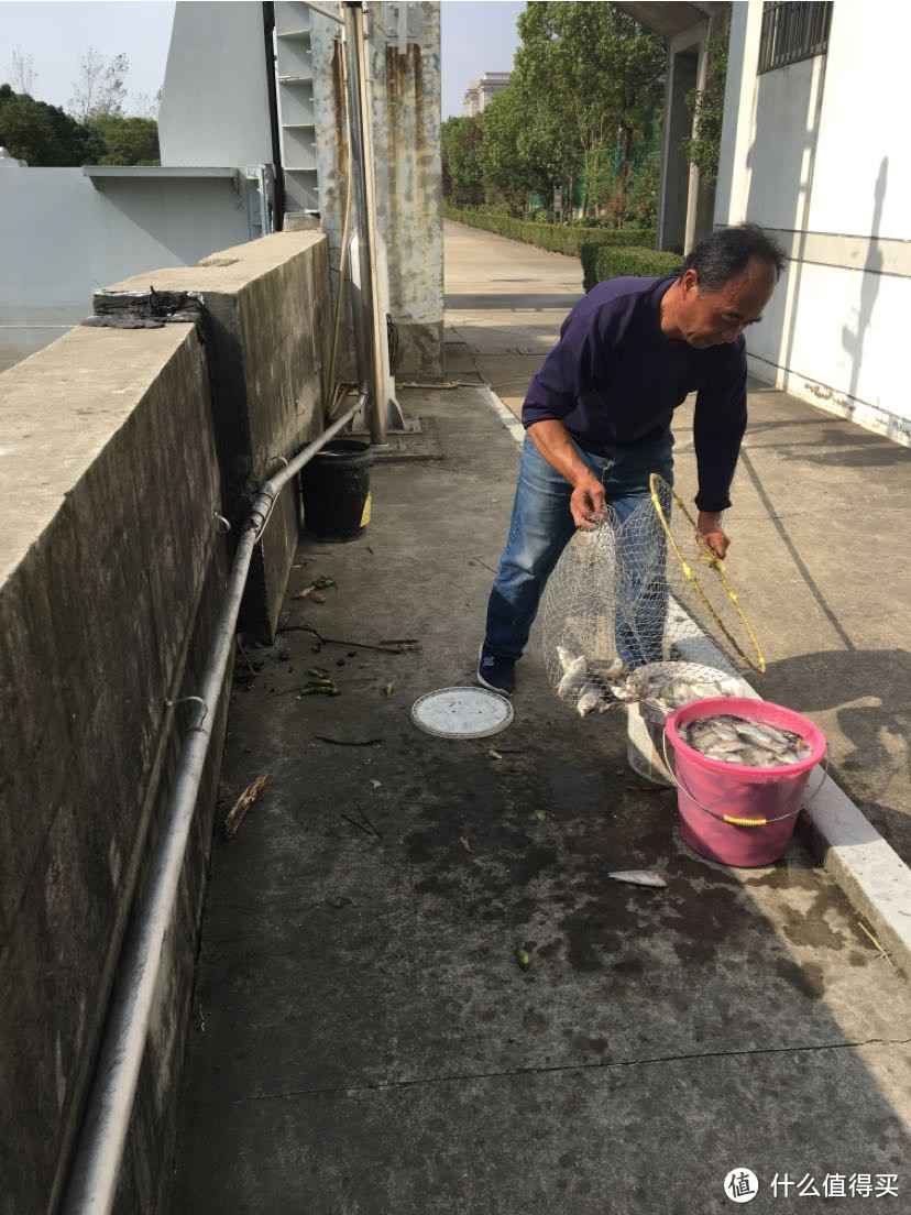 在黄浦江水中钓鱼（海中垂钓江里捞鱼）海水退潮河道捞鱼来看大叔捞鱼快乐！