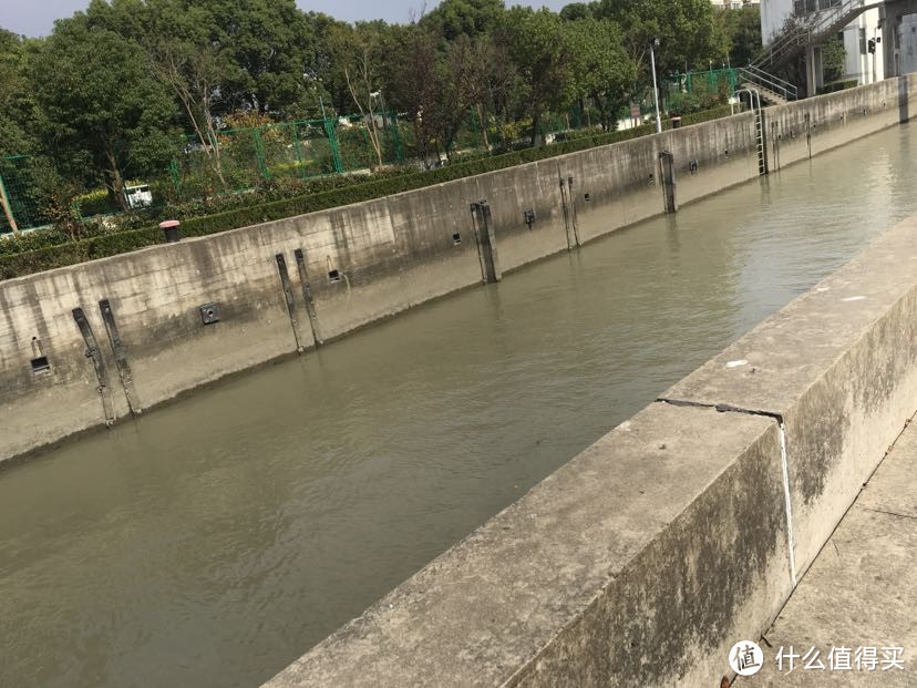 在黄浦江水中钓鱼（海中垂钓江里捞鱼）海水退潮河道捞鱼来看大叔捞鱼快乐！