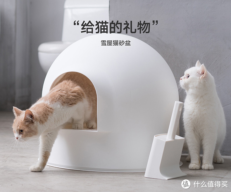 （篇二）资深铲屎官的好物推荐——猫咪的日常用品 新手必看干货