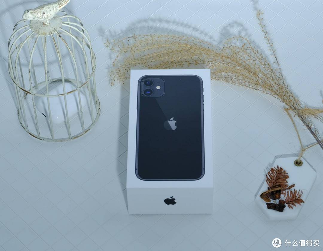 萝卜青菜各有所爱：iPhone11与 iPhone X 对比及购买建议