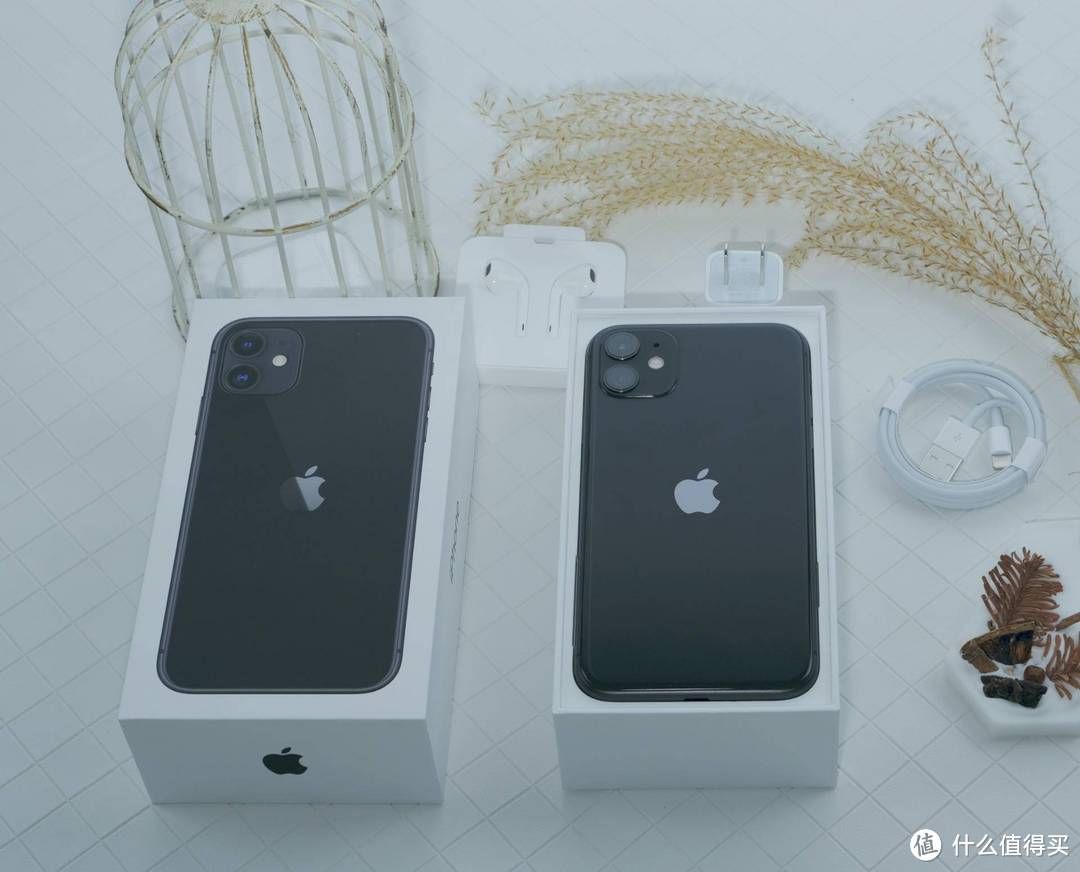 萝卜青菜各有所爱：iPhone11与 iPhone X 对比及购买建议