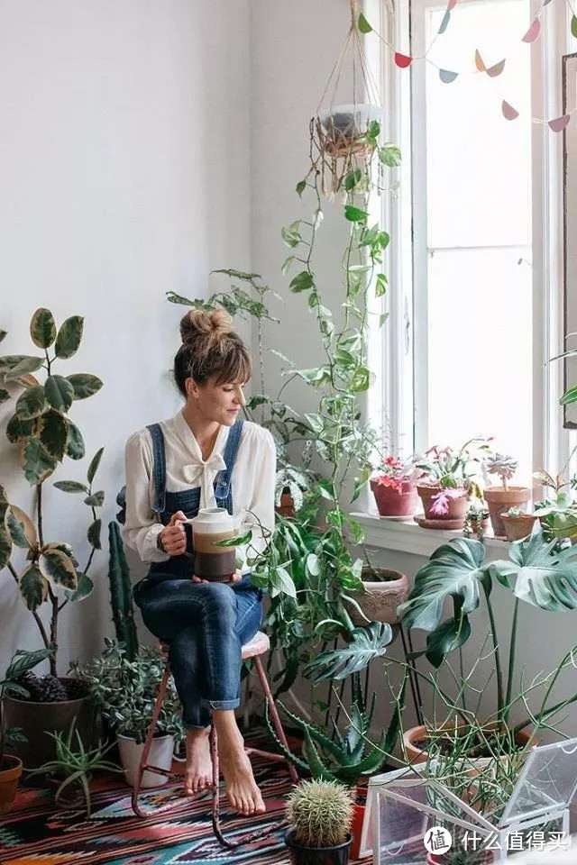 不要再把绿植当猪养了！考虑一下选品、结构和搭配吧(家庭植物角进阶指南）