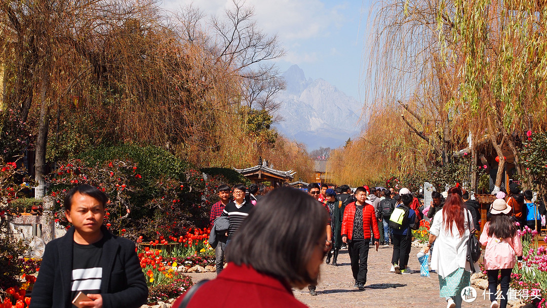 山海间，一场风花雪月行