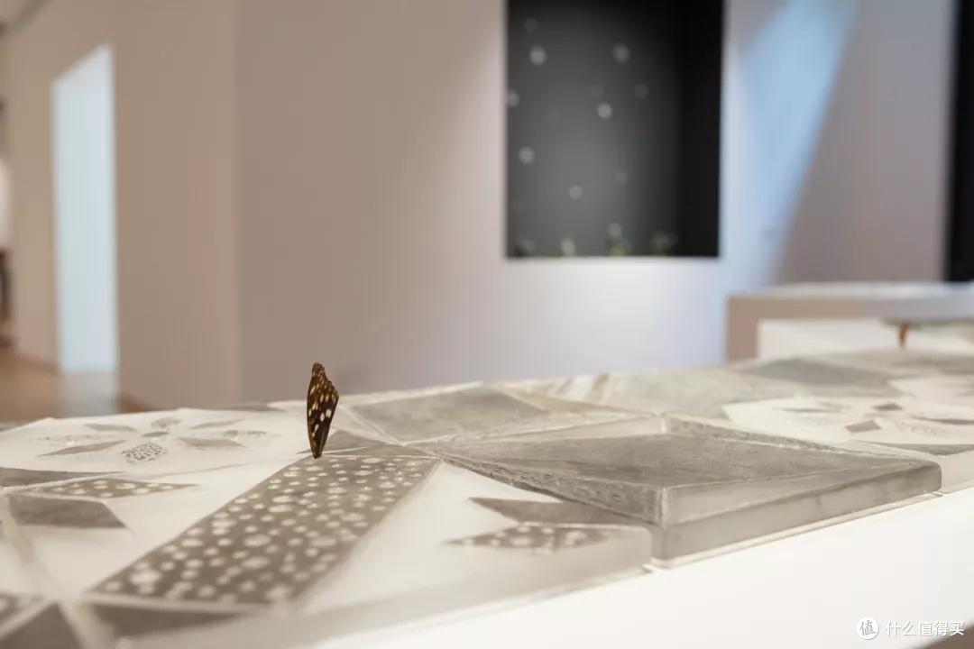 《杜蒙：间》展览现场, 上海玻璃博物馆，2018，摄影：徐徵明