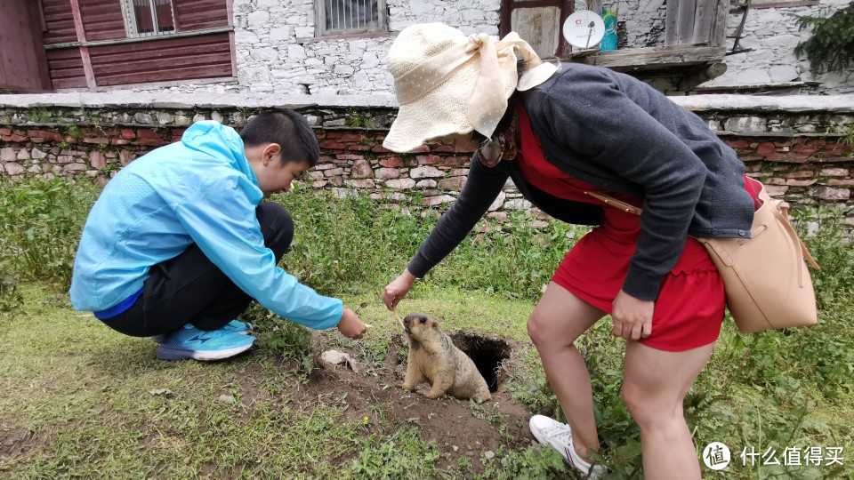 不完美的川西之旅