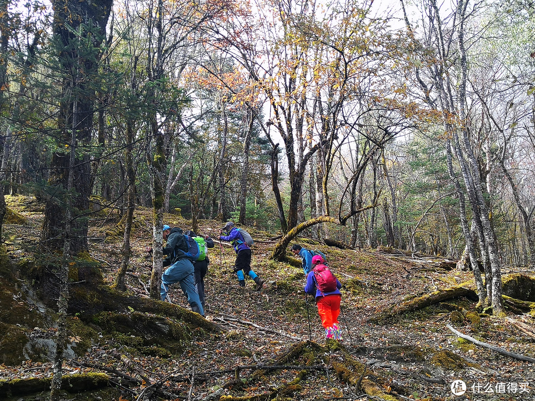 COROS高驰APEX PRO伴我哈巴雪山行