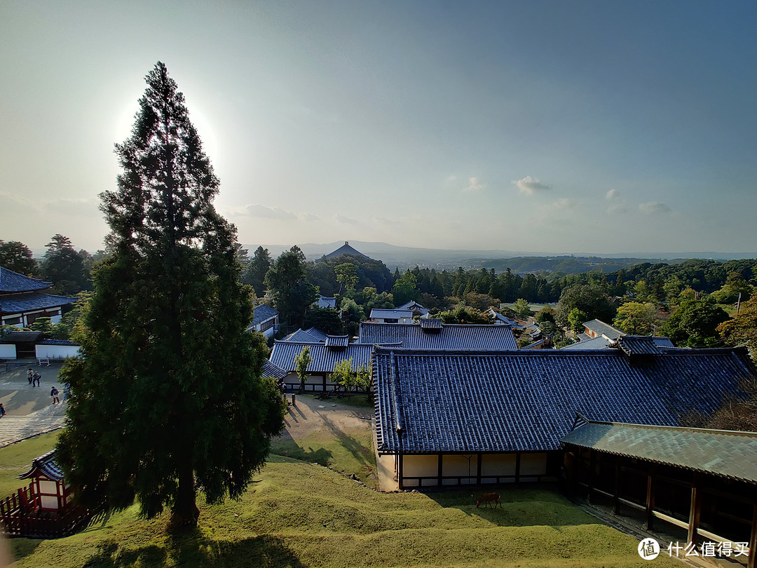 背包日本游-从关西到东京，青旅、夜间大巴和精酿酒吧