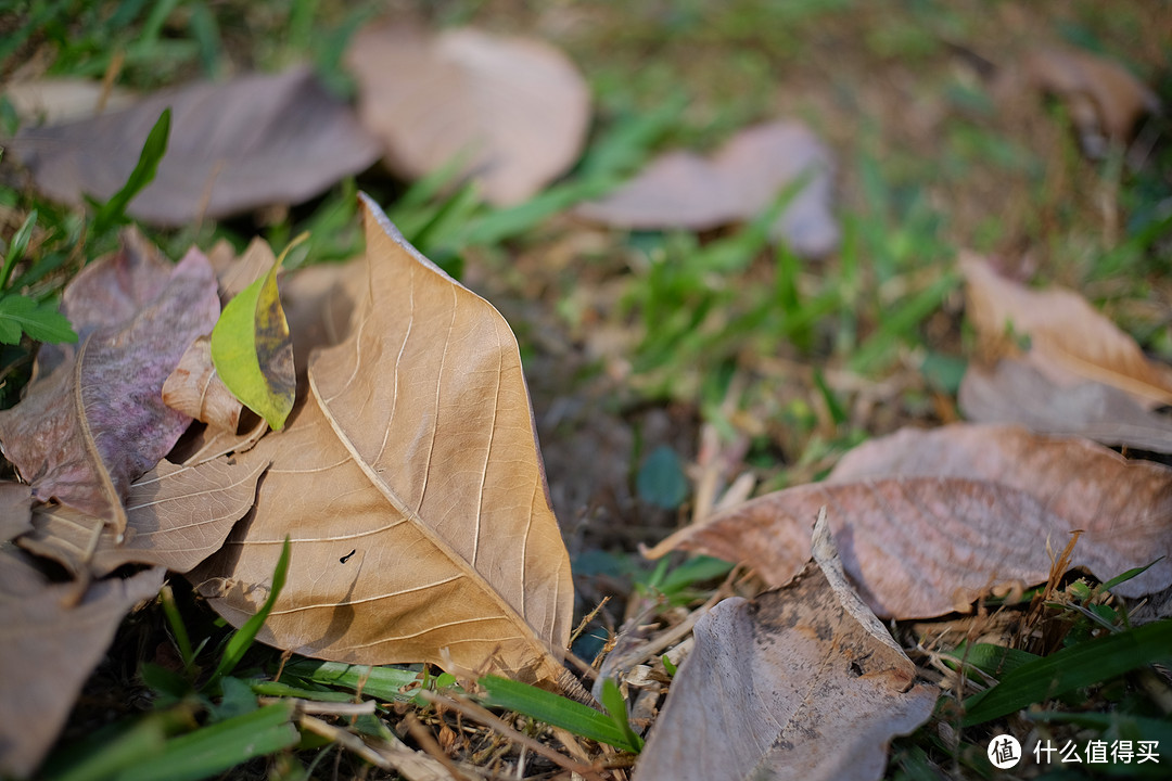 让人惊喜的体积，画质和价格——卫斯理25mm F1.7镜头详细评测