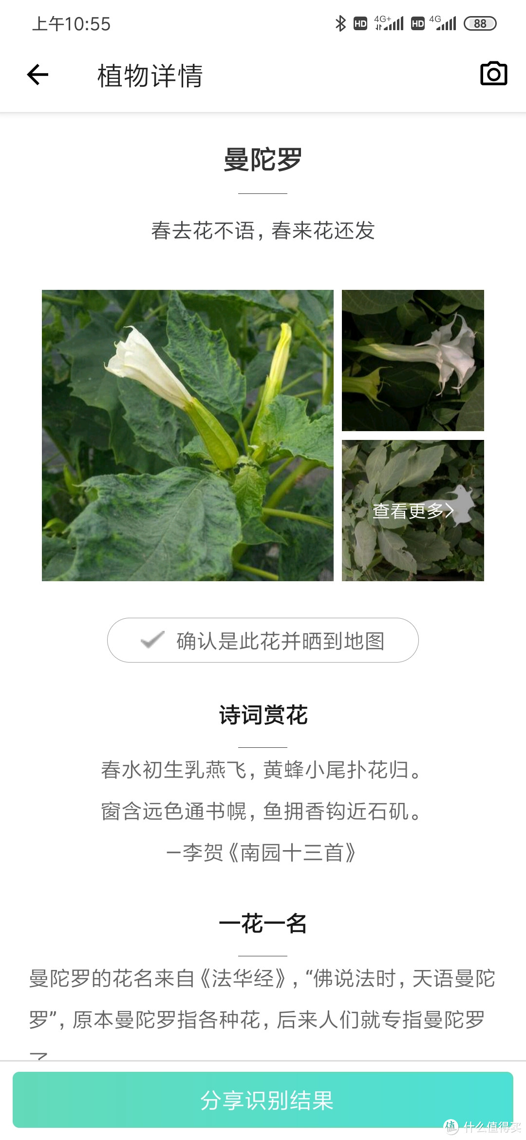 100块的无人机飞丢以后（看路边荒野地的花花草草）我是如何找不回来的？