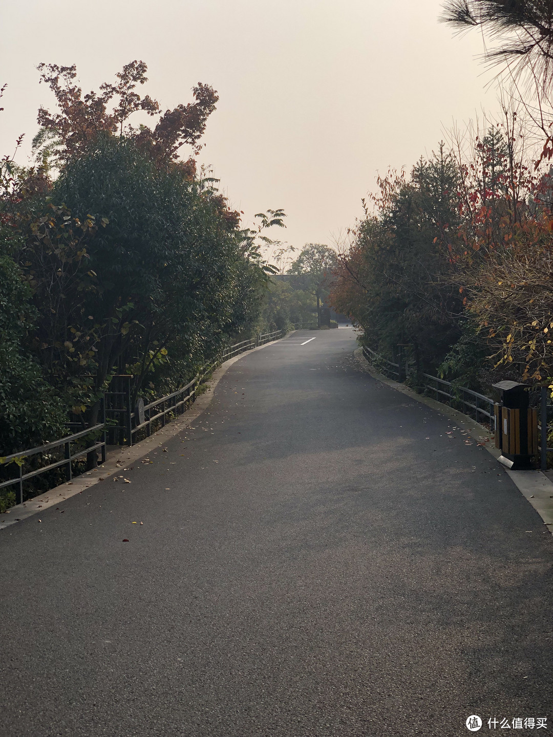 山野-温泉 深秋季拔草美岕